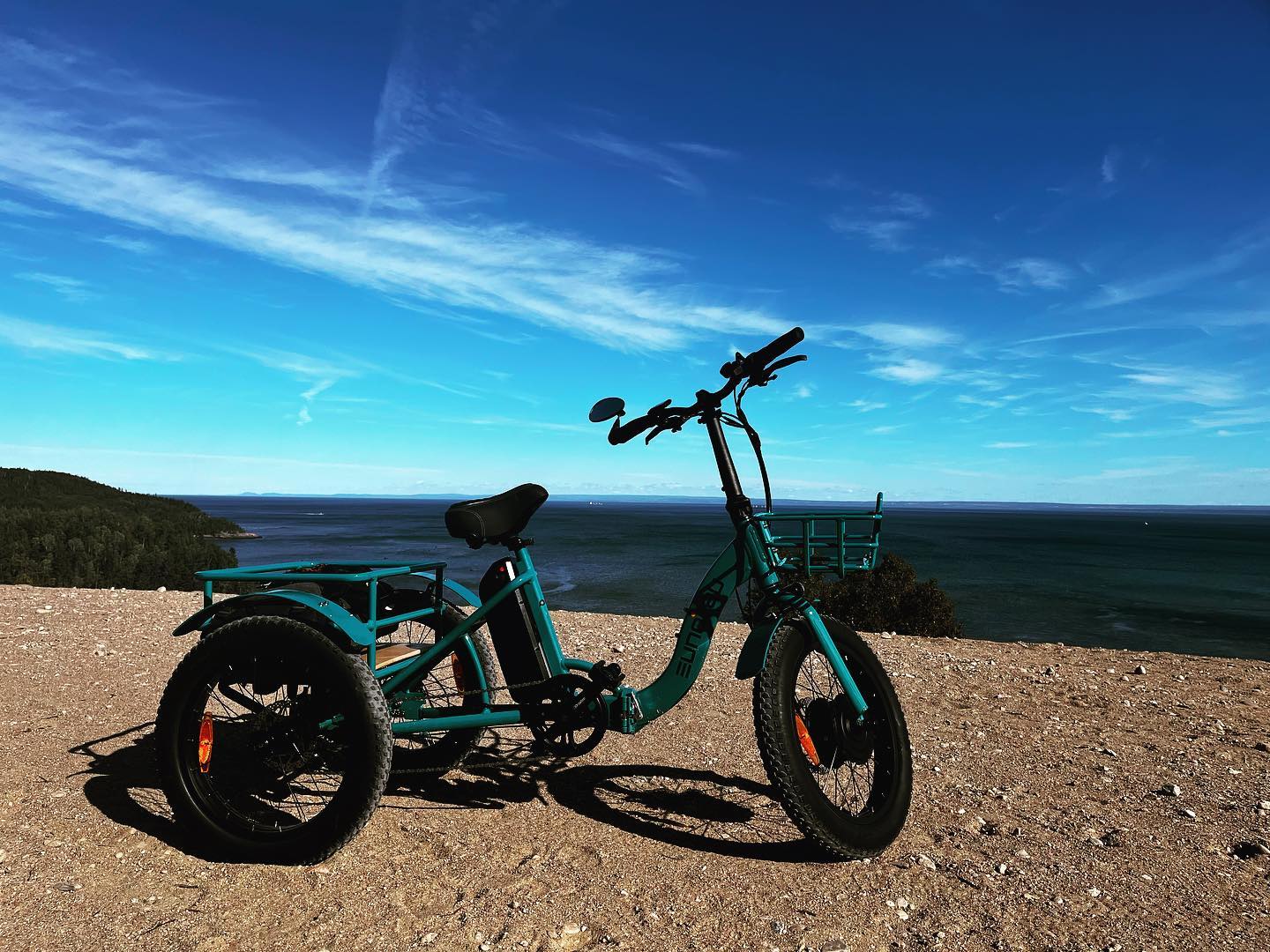 NEW-TRIKE 1.0